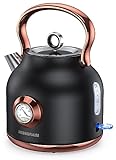 NESSGRAIM Retro Wasserkocher, 1,7 l Edelstahl-Teekessel mit Großer Temperaturanzeige, 2200W Schnell Aufheizender Heißwasserboiler mit LED-Indikator，schwarz